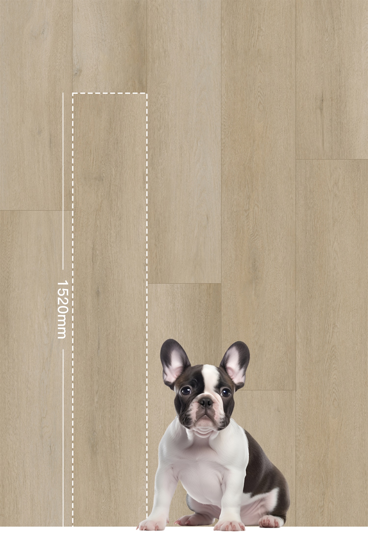 1520mm size